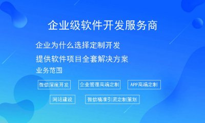 企業爲什麽選擇定制開(kāi)發