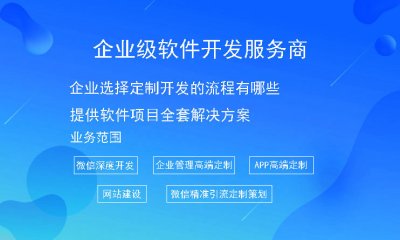 企業選擇定制開(kāi)發的流程有哪些