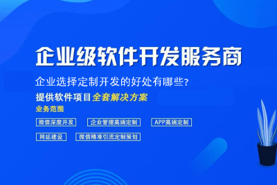 企業選擇定制開(kāi)發的好處有？