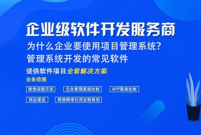 爲什麽企業要使用項目管理系統？ 管理系統開(kāi)發的常見軟件