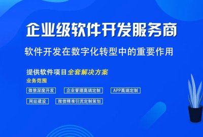 軟件開(kāi)發在數字化轉型中(zhōng)的重要作用