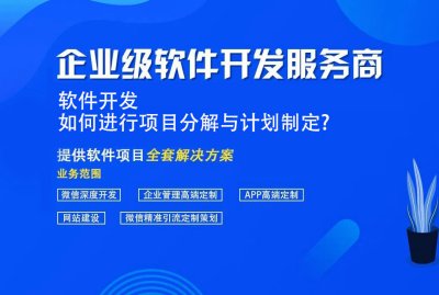 軟件開(kāi)發,如何進行項目分(fēn)解與計劃制定?