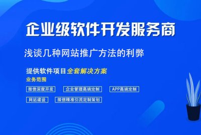 淺談幾種網站推廣方法的利弊