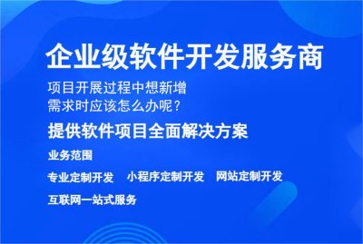 項目開(kāi)展過程中(zhōng)想新增需求時應該怎麽辦呢？