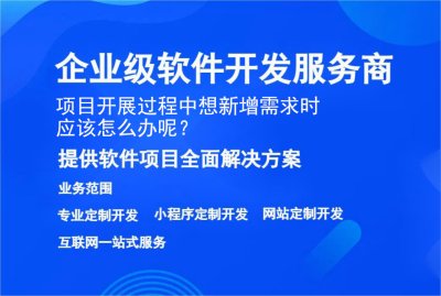 項目開(kāi)展過程中(zhōng)想新增需求時應該怎麽辦呢？