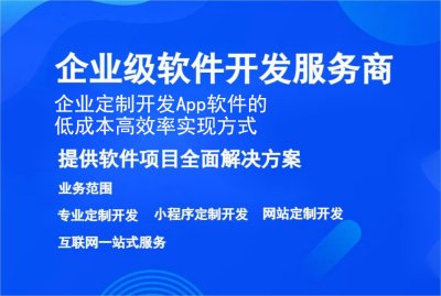 企業定制開(kāi)發 App軟件的低成本高效率實現方式