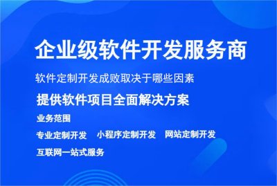 軟件定制開(kāi)發成敗取決于哪些因素