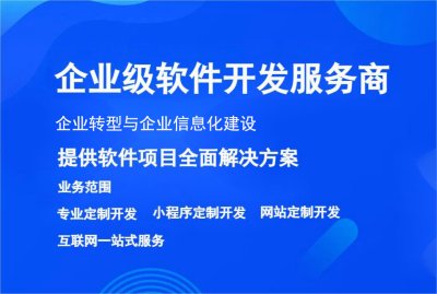 企業轉型與企業信息化建設